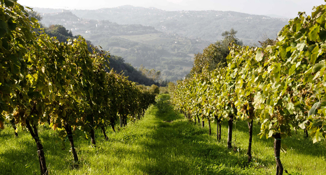 campania-tufo