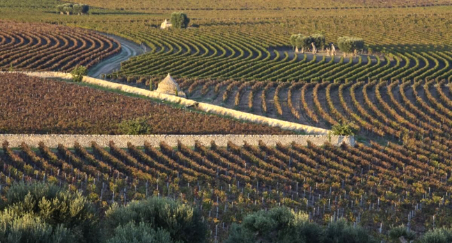 puglia-masserie